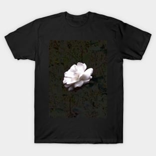 White Rose T-Shirt